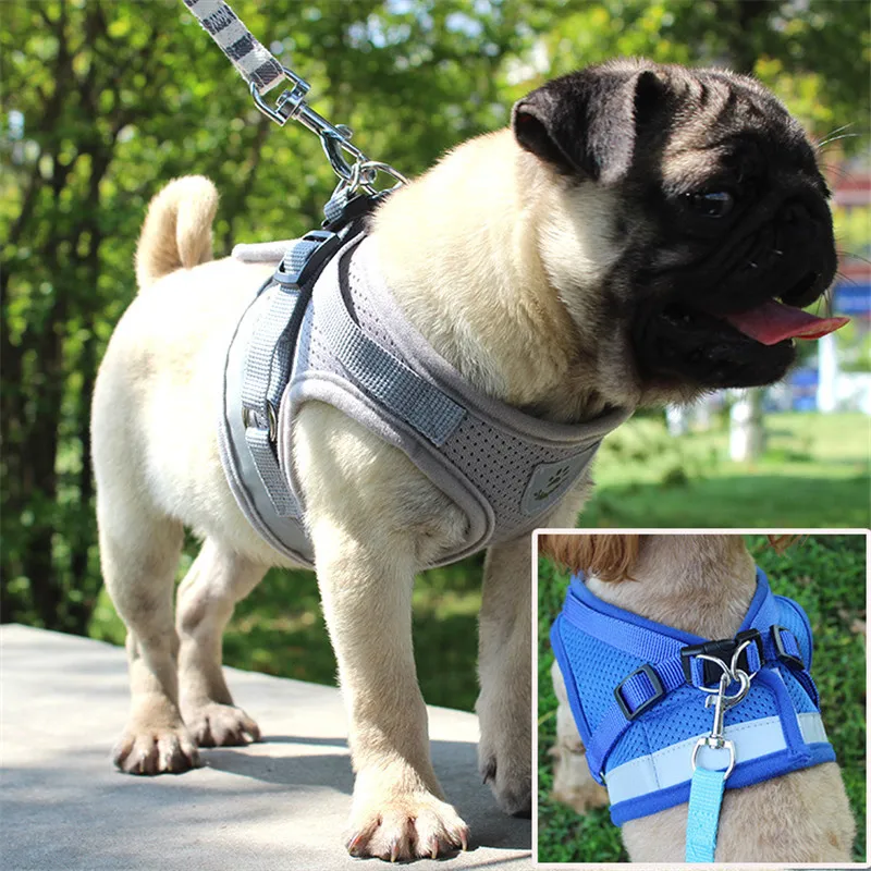 all pet solutions harness