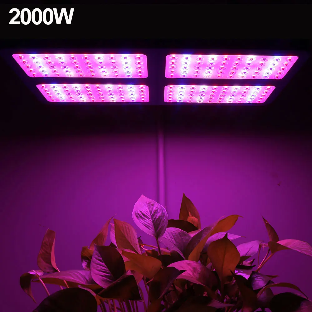2000w