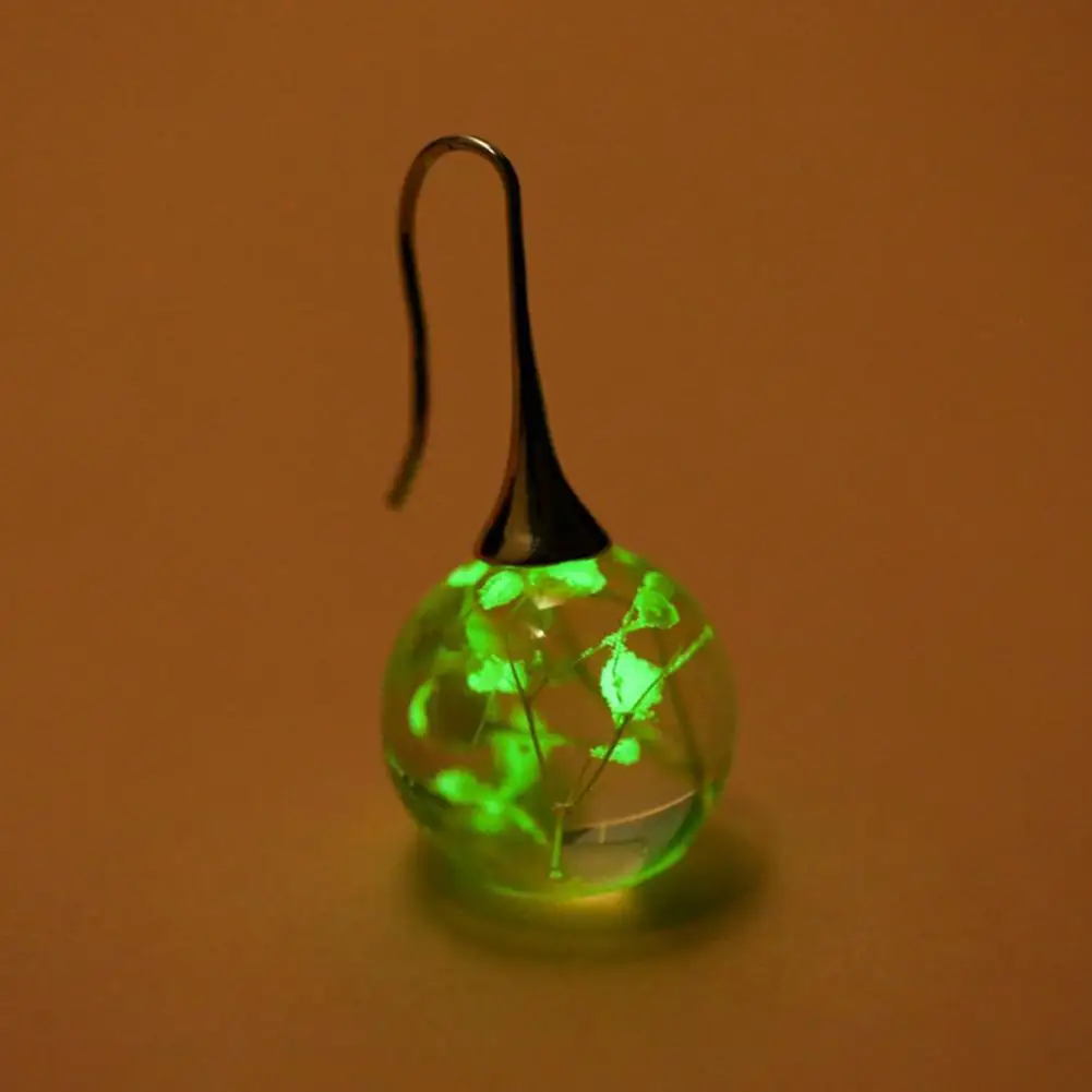 

Luminous Dried Flower Round Drop Pendant Hook Earrings Women Party Jewelry Gift for woman