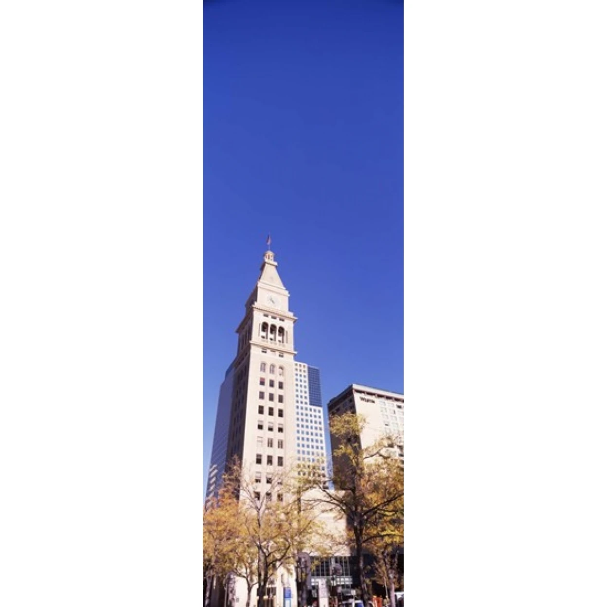 Low angle view of a Clock tower  Denver  Colorado  USA Poster Print (15 x 6)