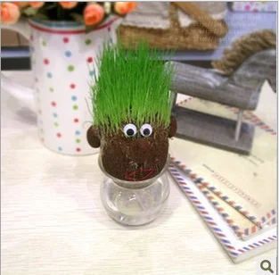 Hair Grass Plants Pot Growing Seeds Kids Gardening Fun Ed Magic Pot Head Plant 