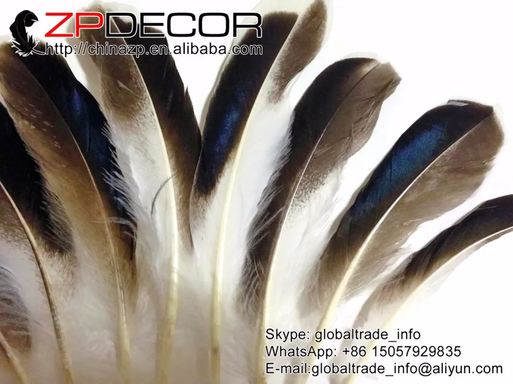 USA Real Feathers, 1 4 lb - Iridescent BLUE MIX Mallard Duck Wing Wholesale Feathers (bulk) 4