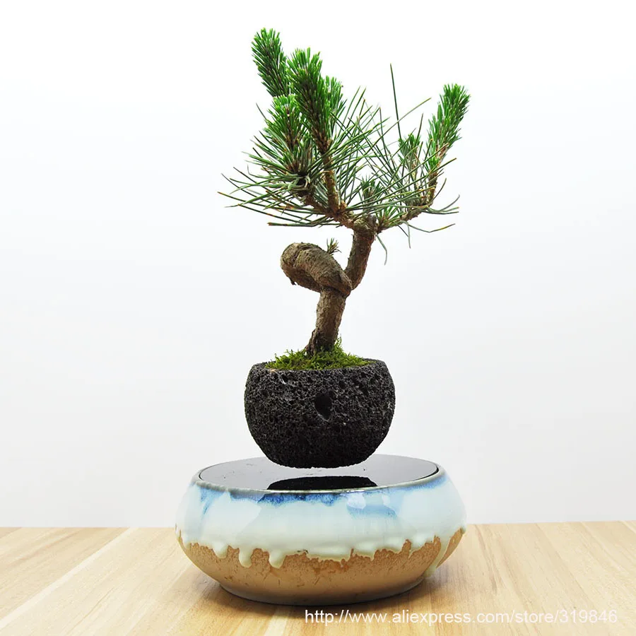 2016 japan high tech products levitating air bonsai floating
