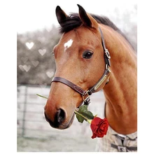 DIY фото на заказ Алмазная вышивка крестиком 5D полная мозаика Алмазная вышивка, лошади, Роза рукоделие для домашнего декора JS596