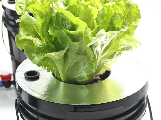 9 ведра полная система aeroponics с cloner ведро soilless культура|system| |