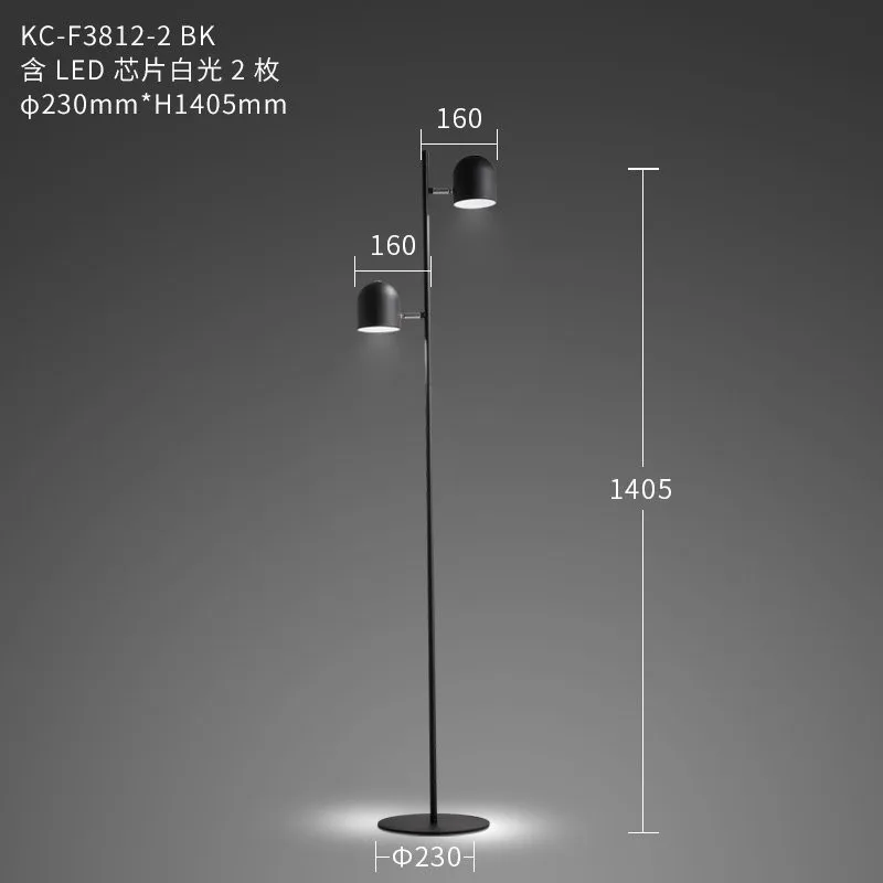 Modern Iron Floor Lamp Creative Led Floor Lights Nordic Living Room Bedroom Bedside Vertical Standing Lamp Home Decor Luminaria - Цвет абажура: black 2 heads