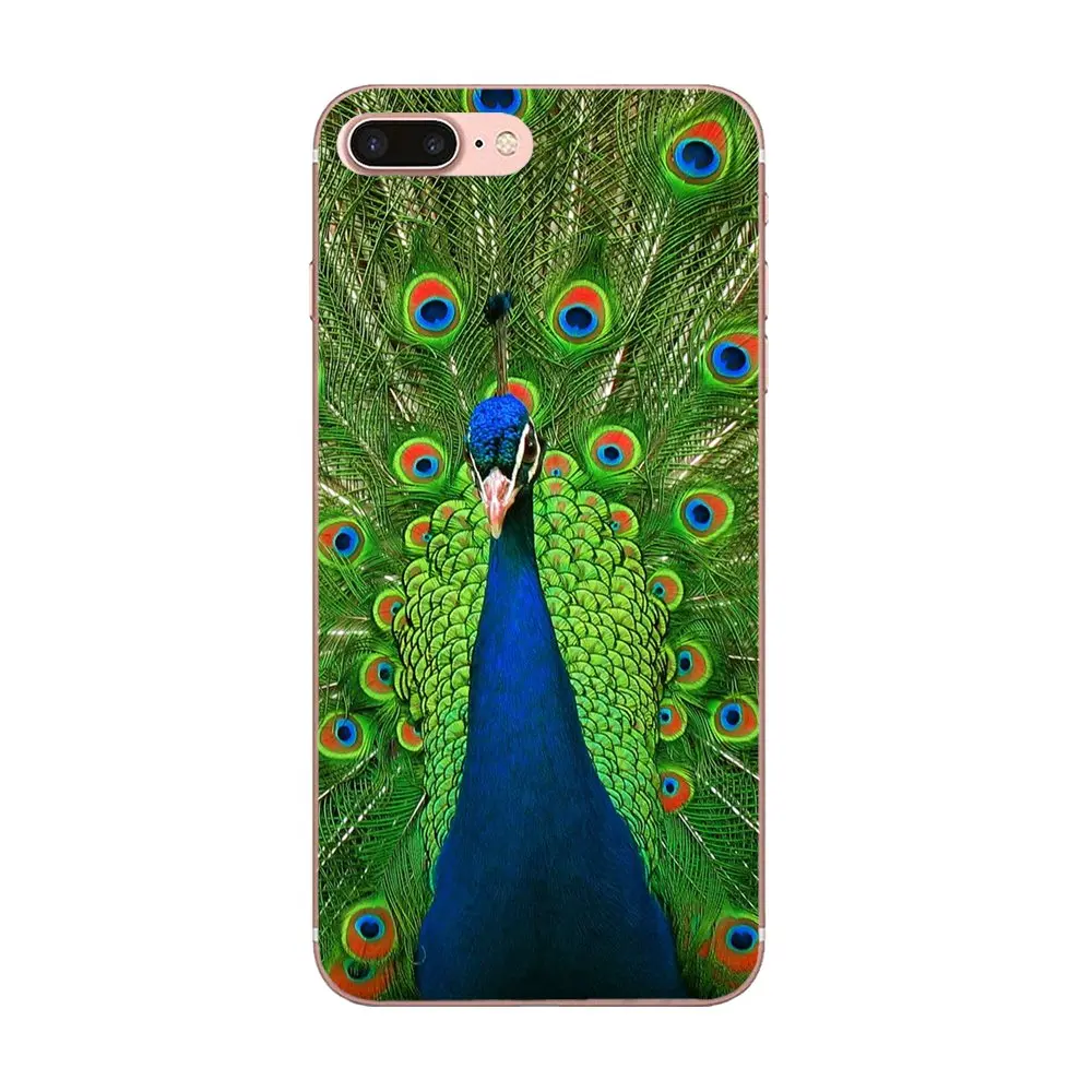 Милый Павлин Новый Многоцветный Роскошный Модный чехол для телефона Apple iPhone 4 4S 5 5C