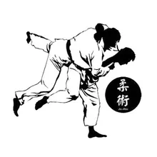 Sashion 13cm * 11.5 centímetros Criativo Kung Fu Chinês Jiu Jitsu Estilo Do Carro Etiqueta Do Carro Decalque C5-1818