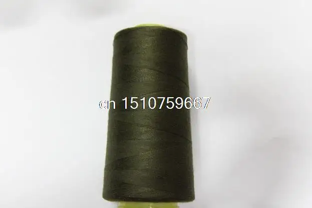  3968.jpg