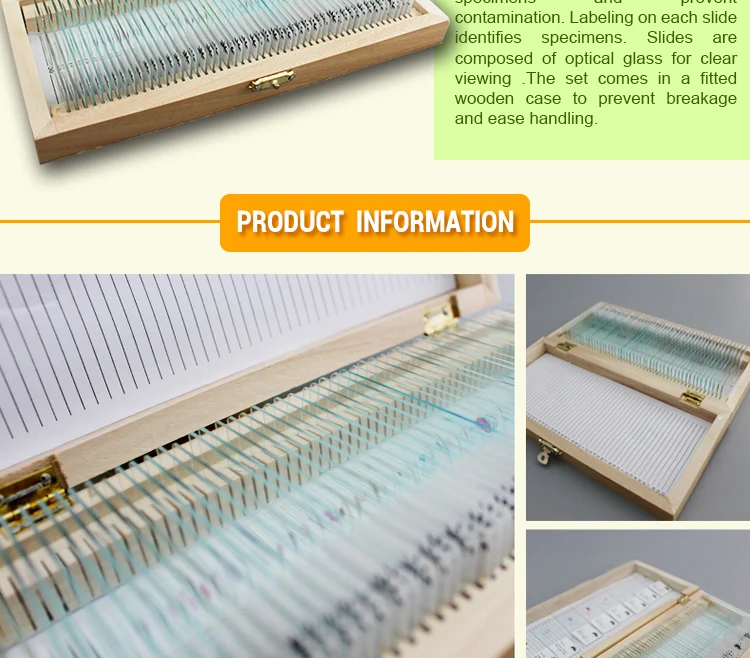 cells Microscope slides (3)