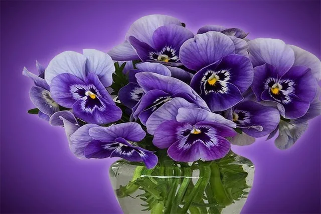 3D DIY Алмазный цветок фиолетовая орхидея Алмазная вышивка алмазная нарисованная