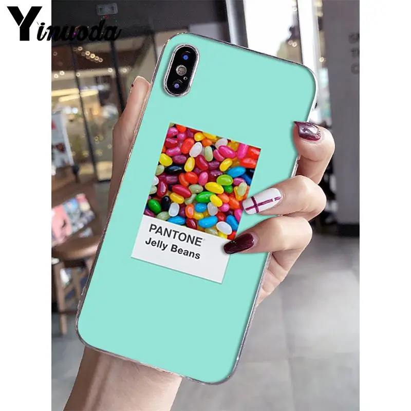Pantone Candy Color Fruit Cookies sunshine sky
