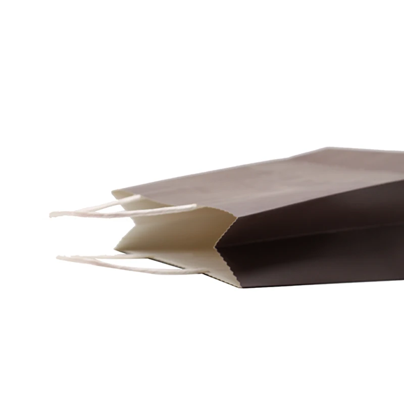 paper bag (10)