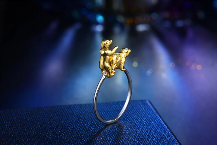 Ring 721