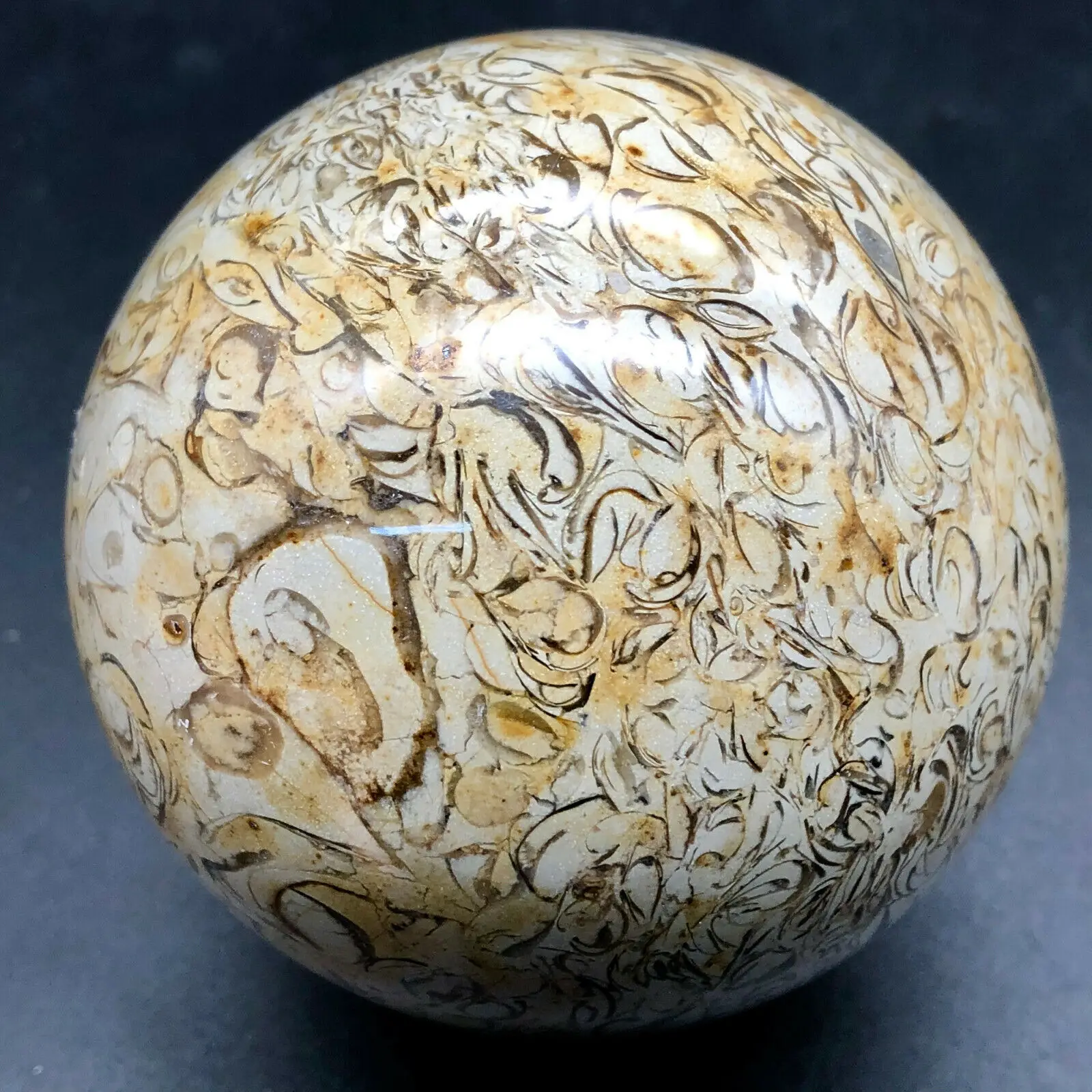 Природный динозавр костной окаменелой сферы хрустальный шар натуральный мадагаскарский камень целебный кристалл