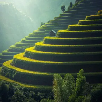 

Modern Nature Landscape Wall Mural Photo Wallpapers for TV Background Cafe Home Decor Wall Paper Roll Papel De Parede 3D Sala