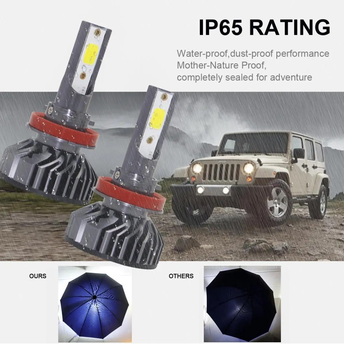 25967-description-5-l1.jpg