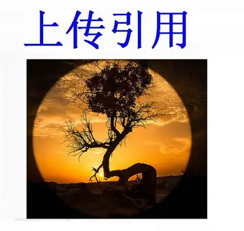 

100pcs/lot* WAZ CREE Q5 LED 300LM Waterproof Torch Flashlight Zoomable LED Torch penlight