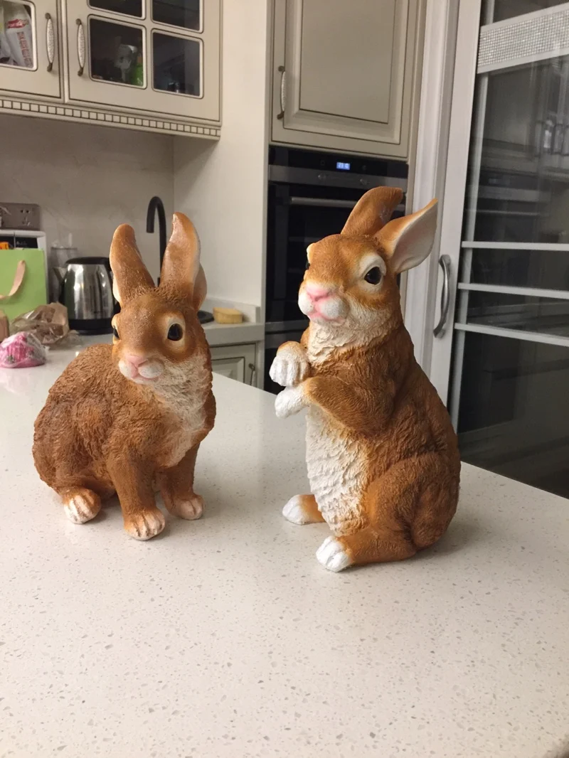 O1CN01AvmbBr1syTXLmpVMN_!!0-rate