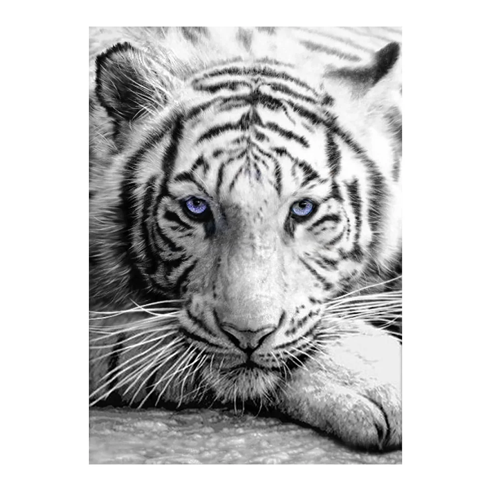 

Black and White Tiger Diamond Painting Animal Round Full Drill Nouveaute DIY Mosaic Embroidery 5D Cross Stitch home decor gifts