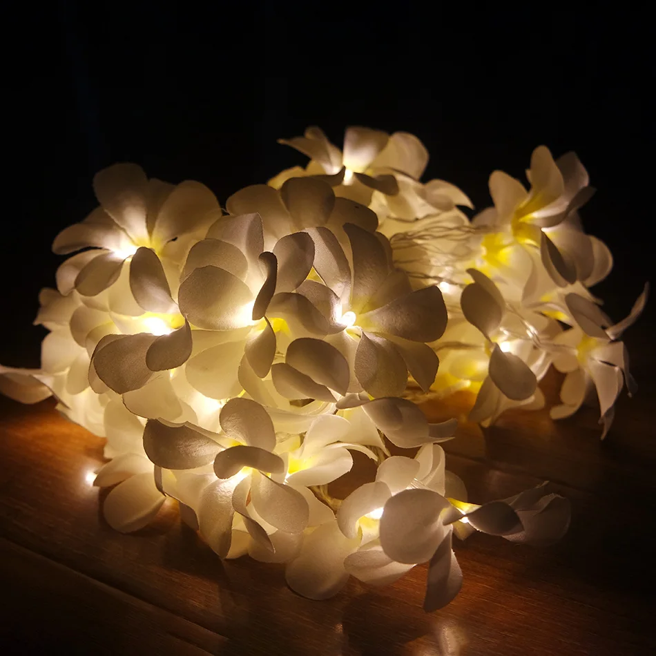 Creative DIY frangipani LED String Lights, AA Battery floral holiday lighting, Event Party garland decoration,Bedroom decoration Creative DIY frangipani LED String Lights, AA Battery floral holiday lighting, Event Party garland decoration,Bedroom decoration