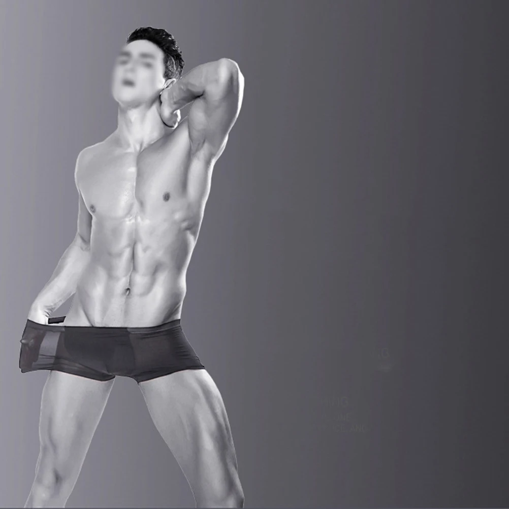 

3XL Ice Silk Boxer Sexy Men Transparent Men Underwear Low waist Slip Homme Cuecas Boxers See Through Underwear Boxers For Men