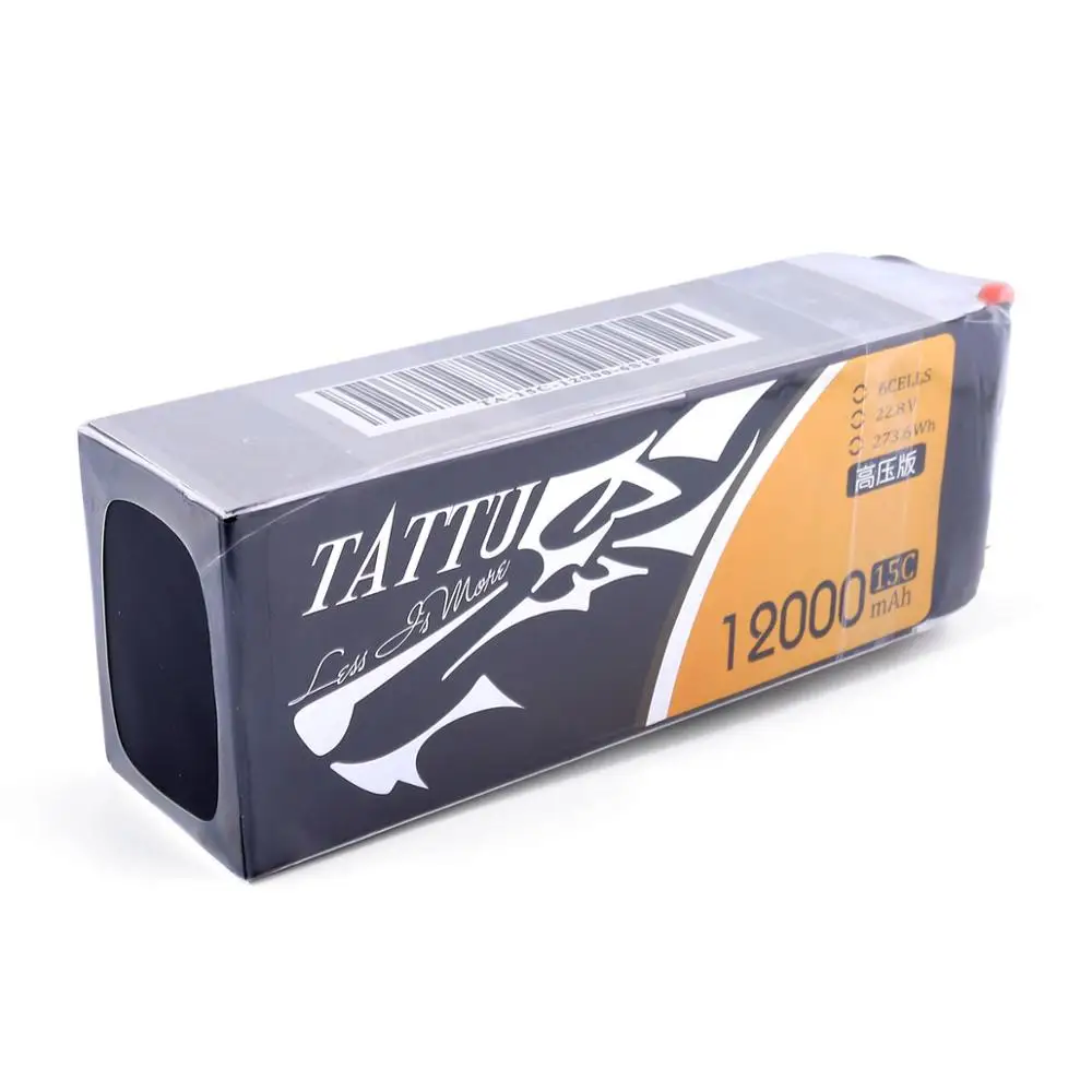Lipo battery 6s (2)