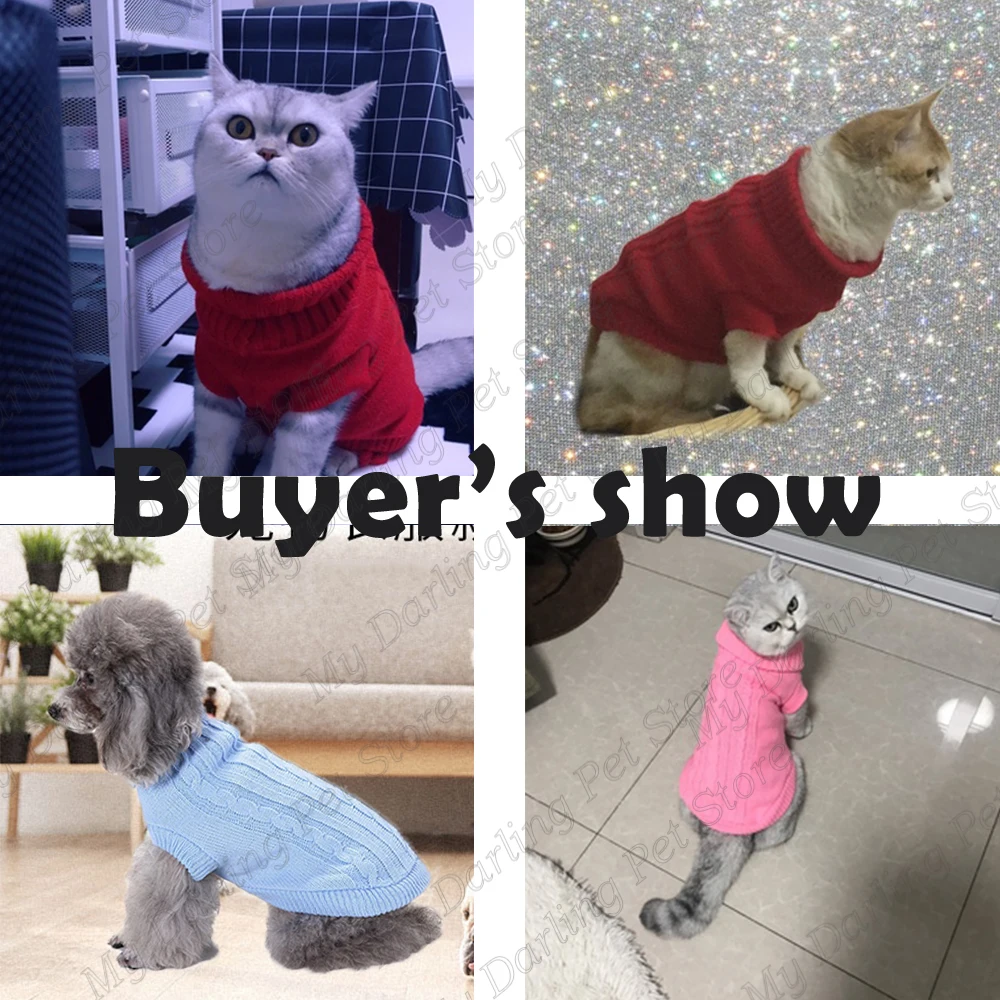 dog coat small dogs-6