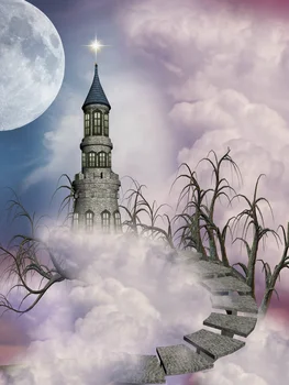 

LIFE MAGIC BOX Princess Castle Photographic Background Photo Wonderland Backdrop for Photo Shoot