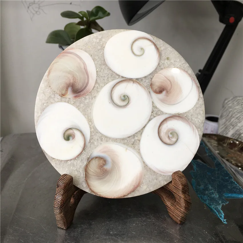 

New arrivals natural sun shells disk round plate crystal gemstone reiki healing for home decoration stone fengshui