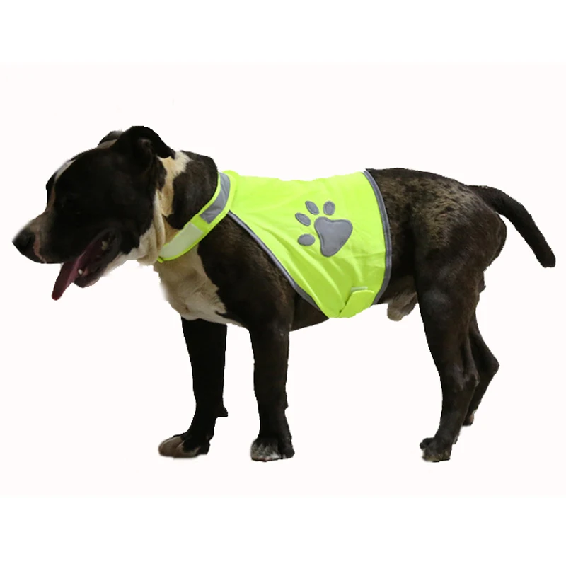 Top Paw Pet Dog Reflective Safety Vest for Medium Dogs Jacket Night