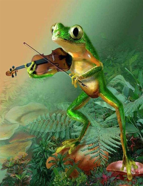 5D Diy Diamond Painting Frog New Design Diamond embroidery cross stitch