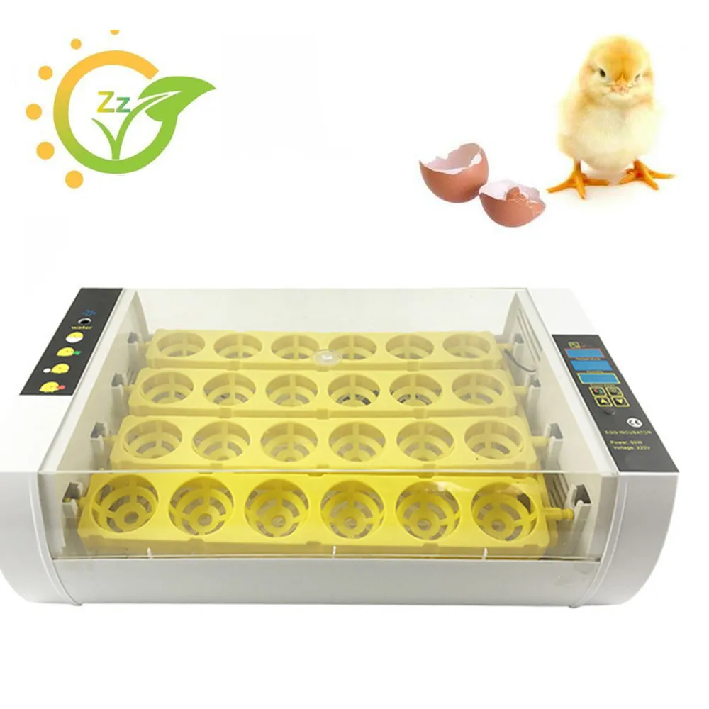 incubator egg