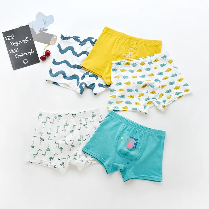 boy-boxers (9)