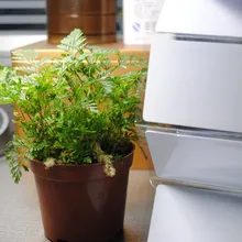 Yongkaida 1000 шт./лот RFID пустой смарт-карты 1 К 125 кГц EM4450 ПВХ пластиковые смарт-читать и писать белый карты CR80 кредитной карты