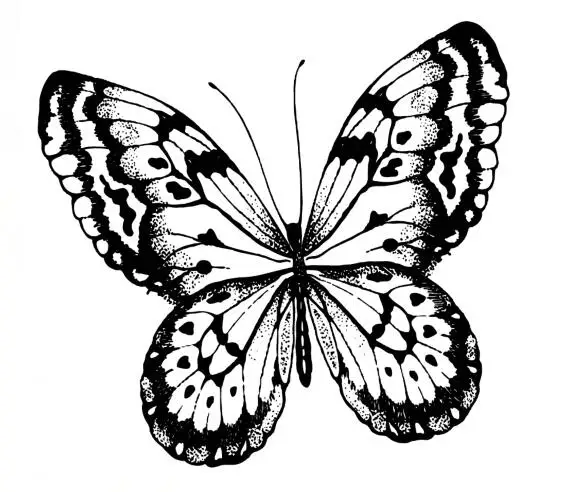 

Butterfly Transparent Clear Stamps for DIY Scrapbooking/Card Making/Kids Christmas Fun Decoration Supplies ST0043