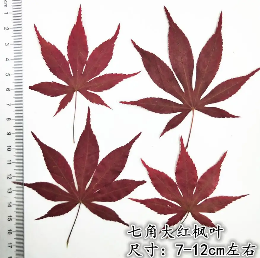 3--4