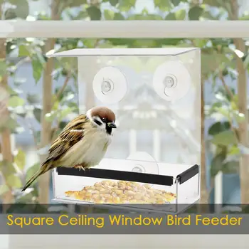 

New Transparent Acrylic Weatherproof Bird Feeder Ceiling Window Adsorption House Shape Squirrel Proof Birds Feeder Dropshipping