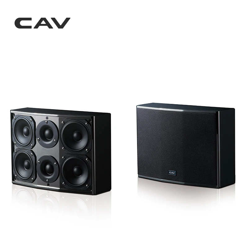 CAV DL 3 настенный динамик с функцией сканирования звука Hi Fi полной частотой