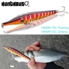 2022 New fishing lure pencil lures 146mm 19g/35g  long casting popper baits floating stickbait for fishing bass pike leurre ► Photo 1/6