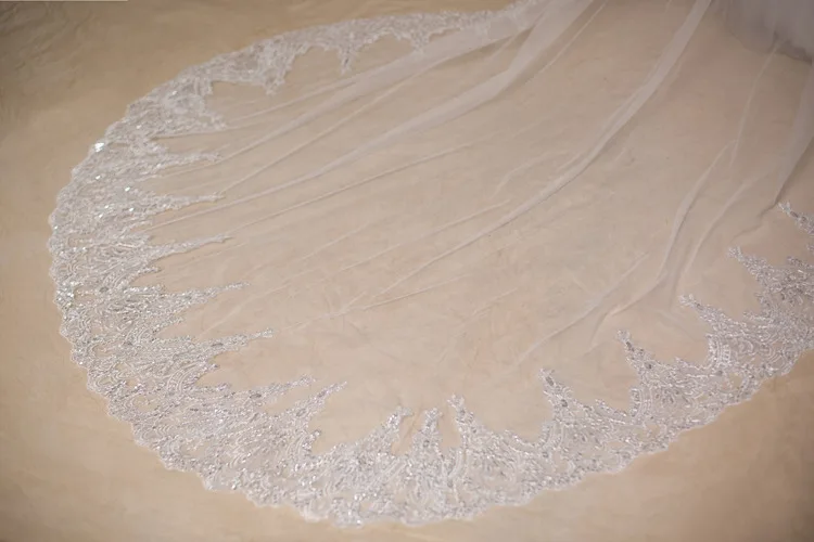 Wholesale 3 Meter Ivory Wedding Veils Long Beaded Lace Edge Bridal Veil (6)