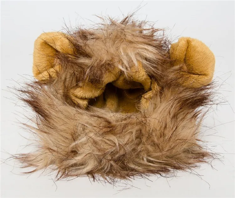 pet clothes07