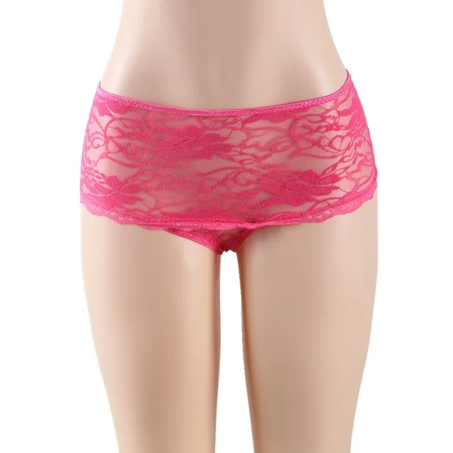 Tangas-Mujeres-Sexy-Erotic-Ladies-Panties-Hollow-Out-Lace-Underwear-Women-Hot-Sexy-M-6XL-Plus.jpg_640x640 (3)
