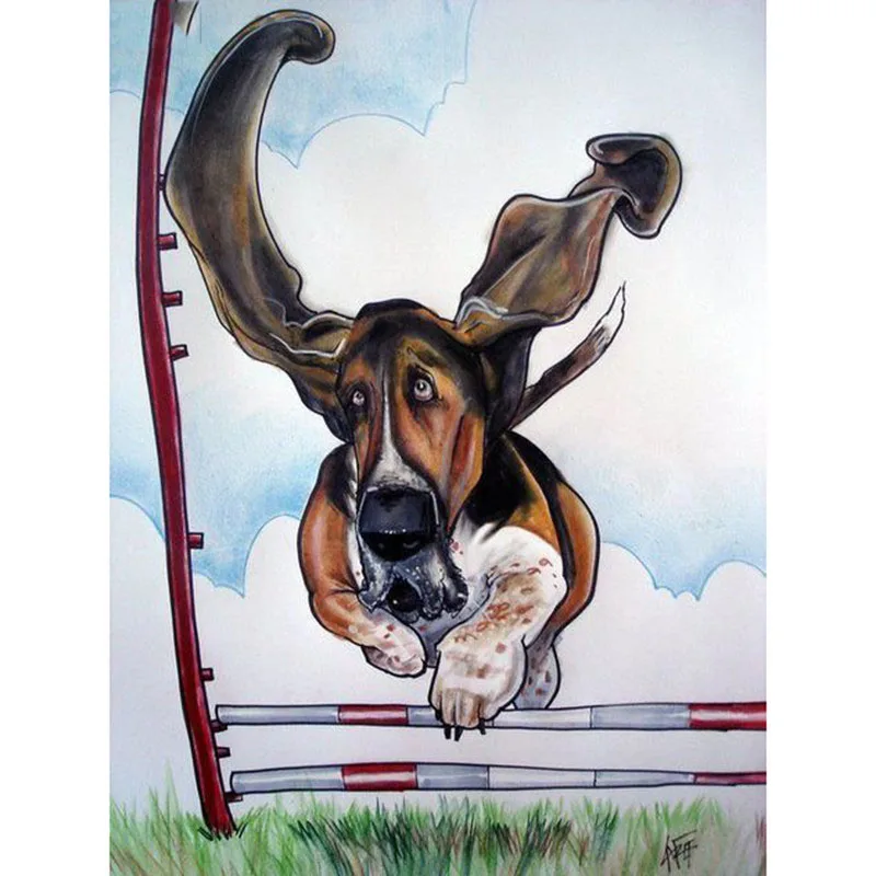 HTB1grd0Xx_rK1RkHFqDq6yJAFXaF