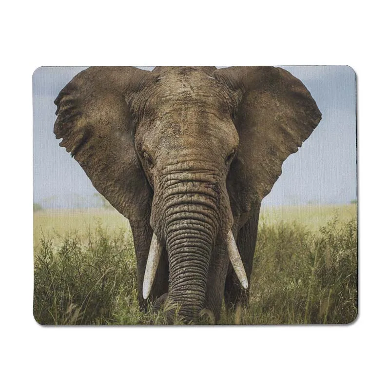 MaiYaCa My Favorite afrikansk Elefant большой офисный коврик для мыши резиновый маленький размер