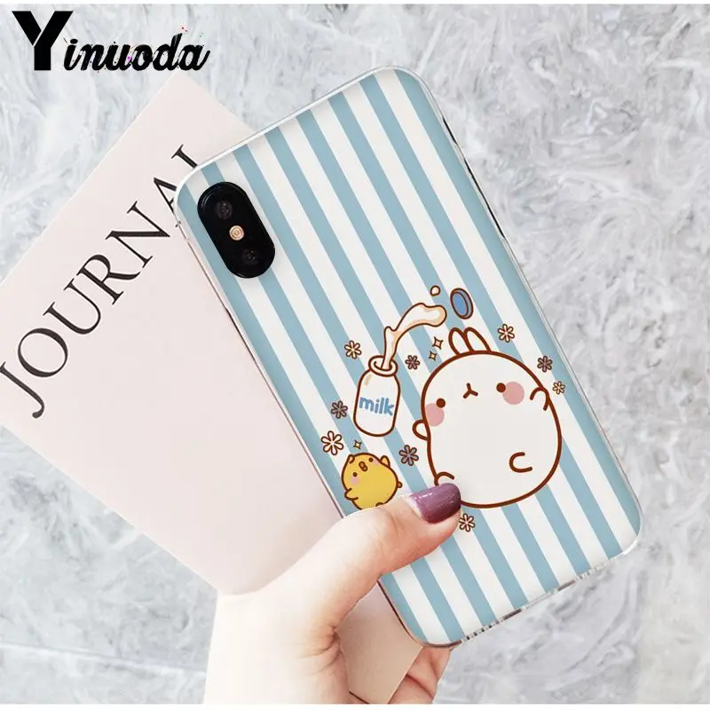Funny and cute cartoon rabbit