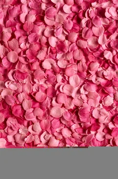 

LIFE MAGIC BOX Rose Petal 150x200cm Custom Photo Backdrops Photo Wall Backdrop flower backdrop S-965