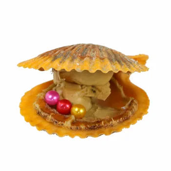 

Red Orange OysterCultured Love Wish Pearl Oyster Natural Real Pearls Akoya Oyster With 6-7MM Pearl Oyster Three Pearl RR033