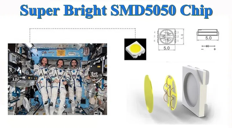 2015 Super Bright 5mlot 300 LED Strip 5050 12V Flexible Light 60 ledsm,White Warm White Red Greed Blue Yellow RGB (6)