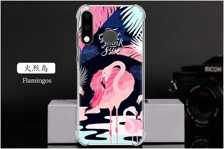  Flamingos